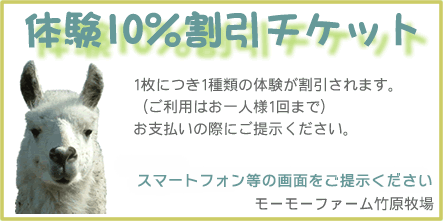体験10%割引チケット