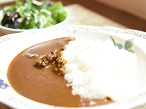 阿蘇あか牛カレー（ミニサラダ付き）