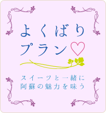 よくばりプラン