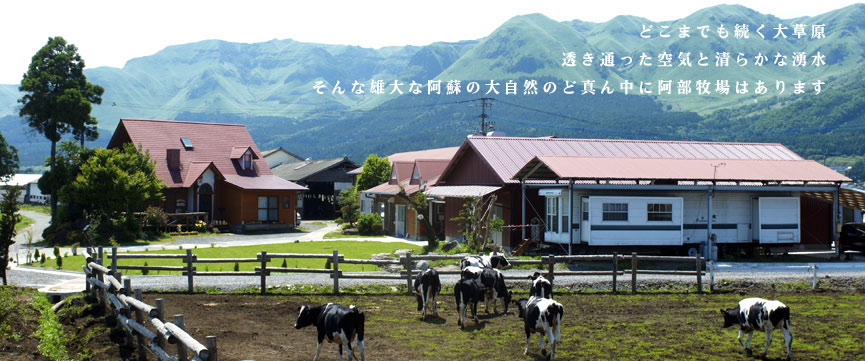 阿部牧場全景