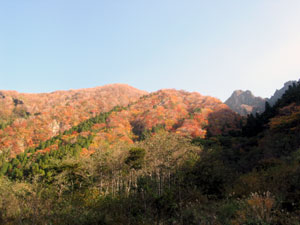 2005　秋の紅葉