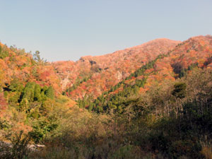 2005　秋の紅葉