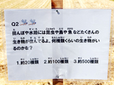クイズラリー 写真