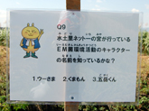 クイズラリー 写真