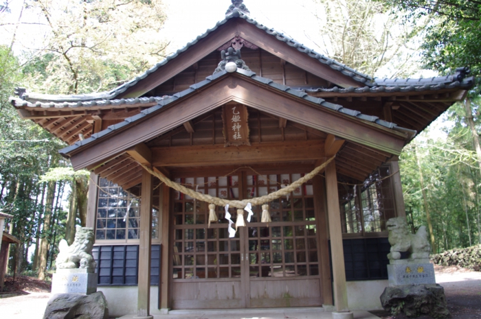 IMGP0437.JPG