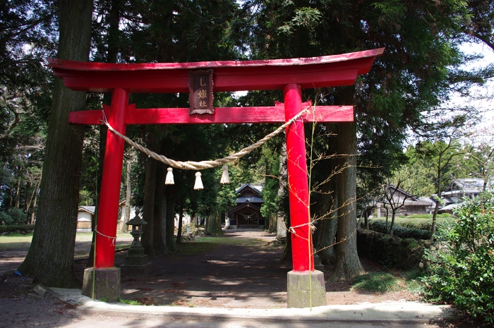 IMGP0442.JPG