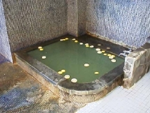 huro2.jpg