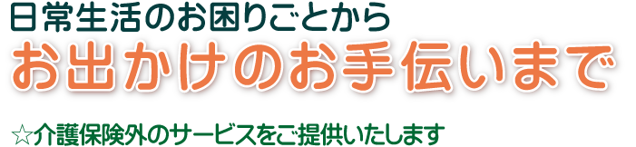 日常生活のお困りごとからお出かけのお手伝いまで介護保険外のサービスをご提供いたします