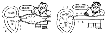 血圧と心臓の図